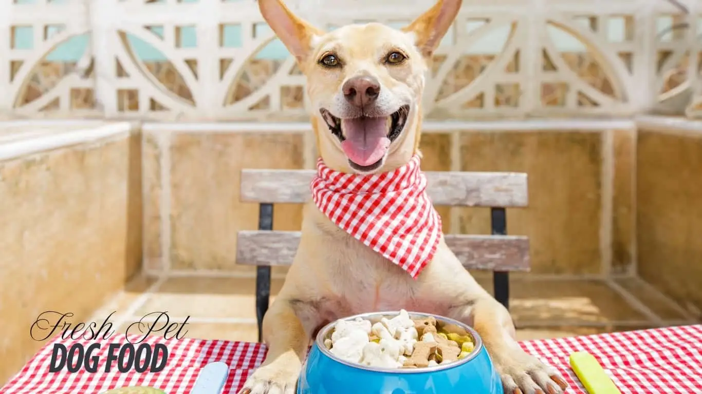 Fresh Pet Dog Food