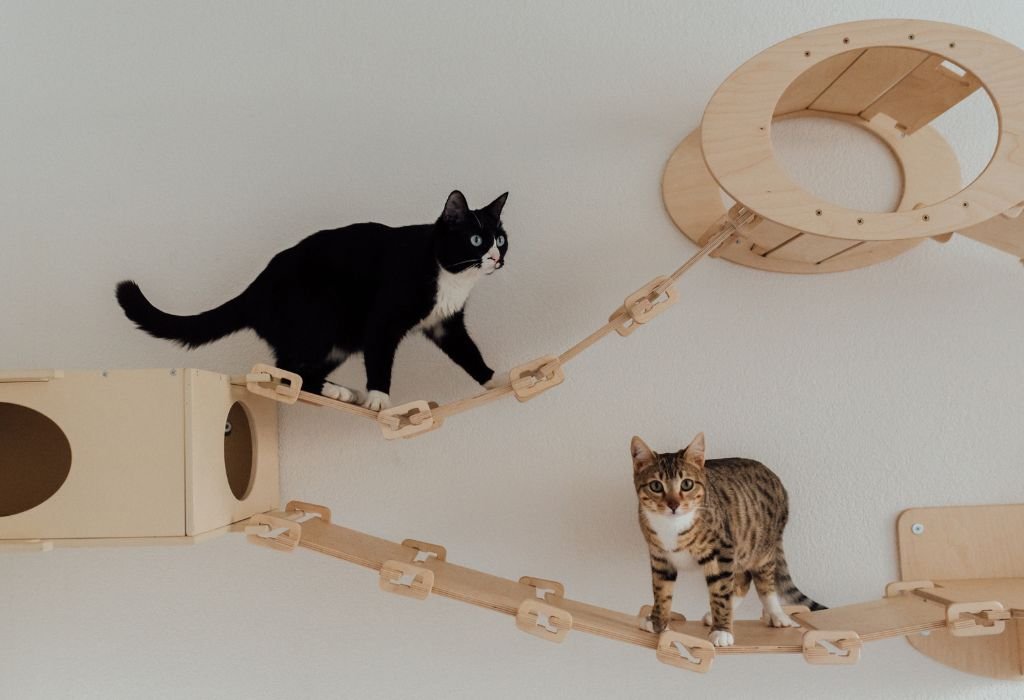 Pet Care Centre